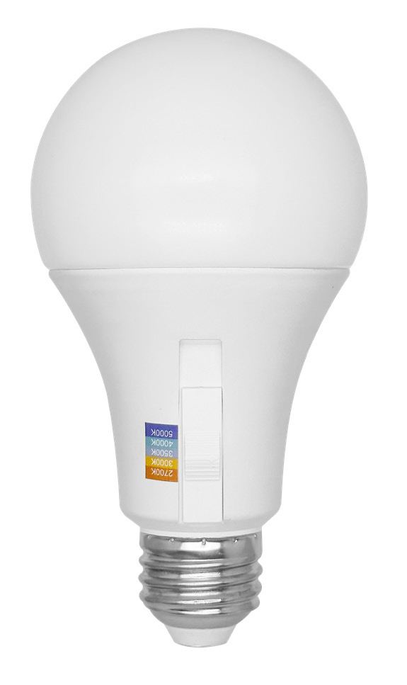 LED A Series bulbs