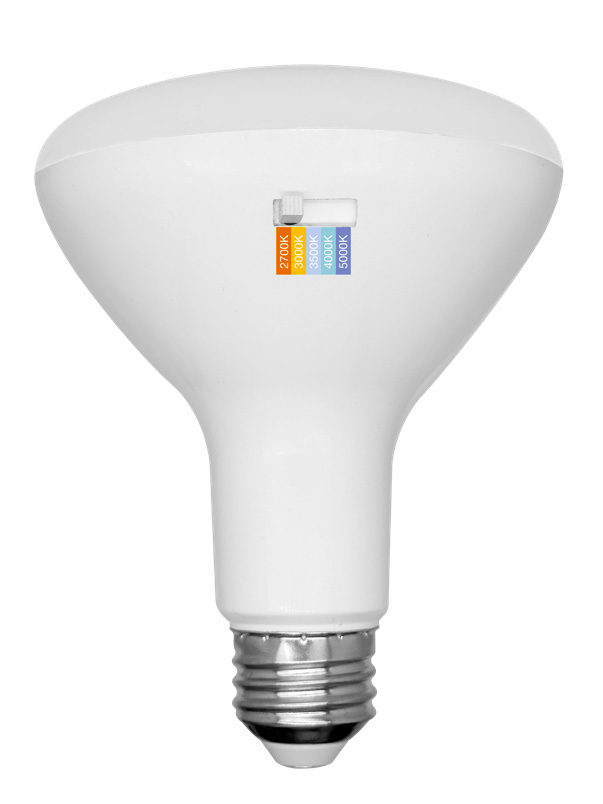 LED Flood (BR) Bulbs